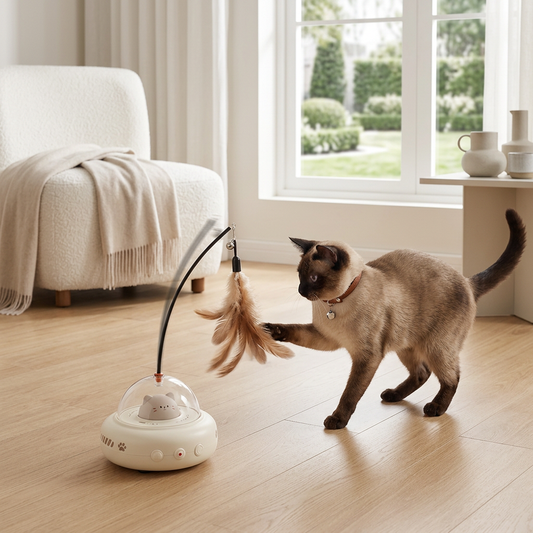 Pettranquil — Teaser Elettrico Interattivo per Gatti