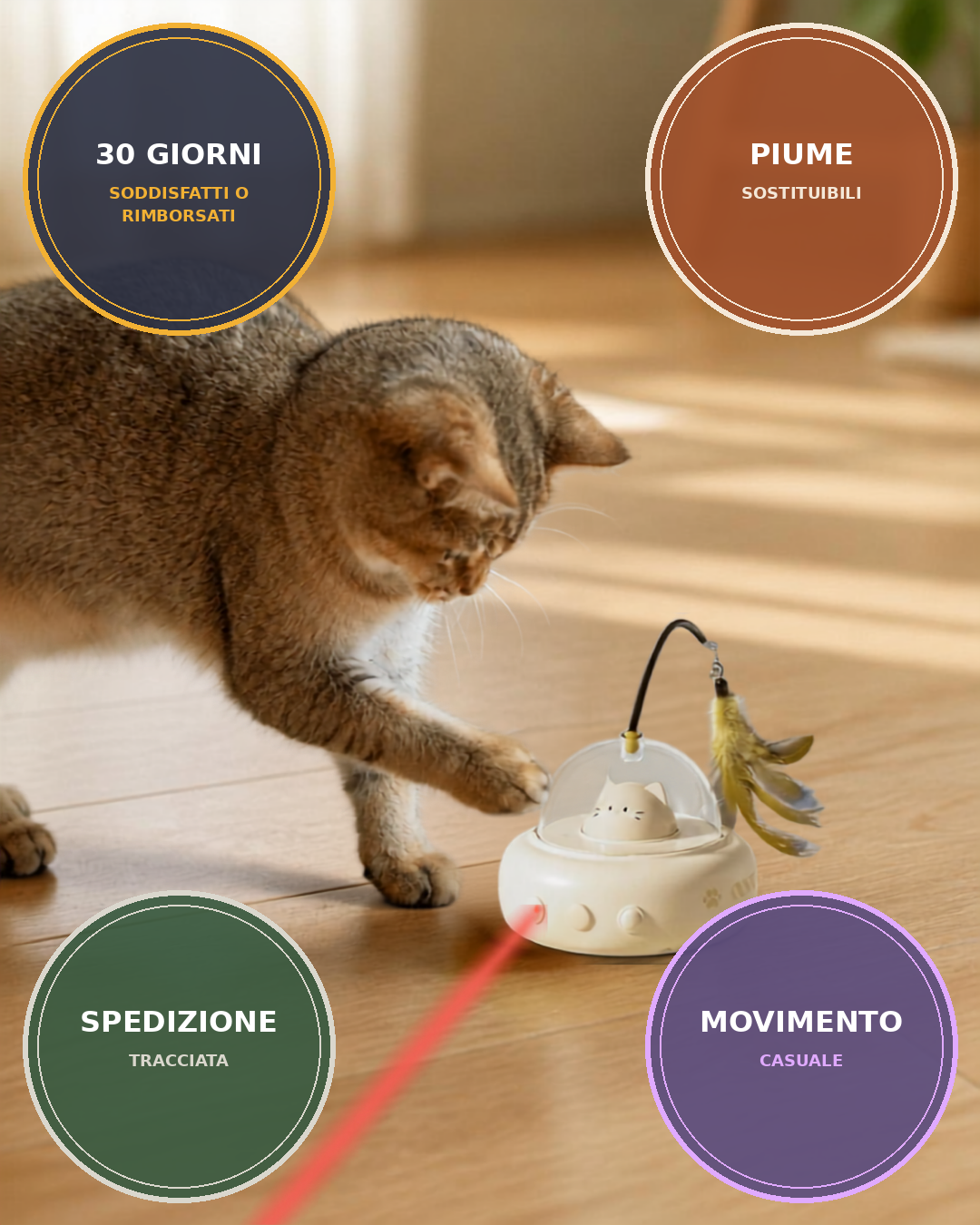 Pettranquil — Teaser Elettrico Interattivo per Gatti